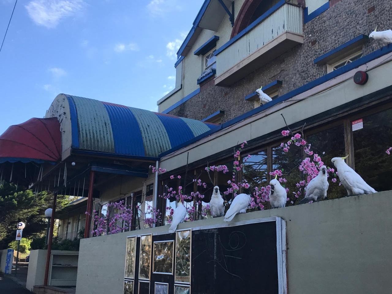 Clarendon Motel&Guesthouse Katoomba Extérieur photo
